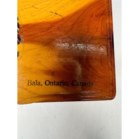 Vintage Cedar Wood Mother Keepsake Box Bala Ontario Canada Indian Chief Motif - Picture 2 of 16